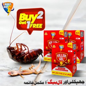 Premium Lizard & Cockroach Killer Buy 2 Get 1