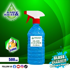 Anti Dust Regular Spray 500Ml Glass & MrirrorCleaners