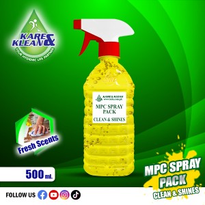 Multi Purpose Clean & Shine Spray 500Ml 